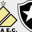 Jogo Criciúma x Botafogo – Lance a Lance Ao Vivo – Série B 2015