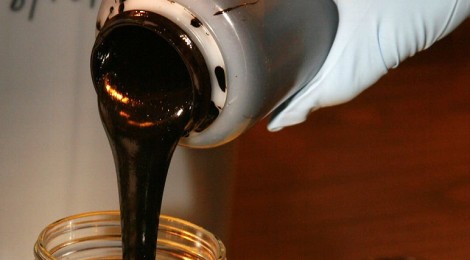 Pesquisa descobre Alga que pode substituir Petróleo na Produção de Combustível