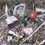 CRB x Vasco – Jogo da Copa do Brasil 2016
